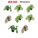AZKO Forhom Tanaman Artifisial Begonia Dengan Pot Random Tumbuhan Tanaman Buatan Dekorasi Plant Sintetis Pajangan Rumah Serbaguna Hiasan Properti Foto