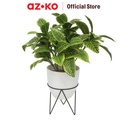 AZKO Forhom 48.3 cm Tanaman Artifisial Ficus Elastica Dengan Pot & Stand - Putih Tumbuhan Tanaman Buatan Dekorasi Plant Sintetis Pajangan Rumah Serbaguna Hiasan Properti Foto