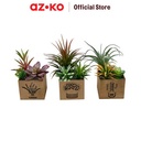 AZKO Arthome Tanaman Artifisial Succulent Dengan Light SetB In Shaw Pot