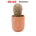 AZKO Arthome 7.6 Cm Tanaman Artifisial Kaktus Dengan Pot - Hijau