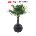 AZKO Arthome 40 Cm Tanaman Artifisial Fern Dengan Pot Keramik - Hitam