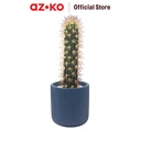 AZKO Arthome 11.4 Cm Tanaman Artifisial Kaktus Dengan Pot - Hijau