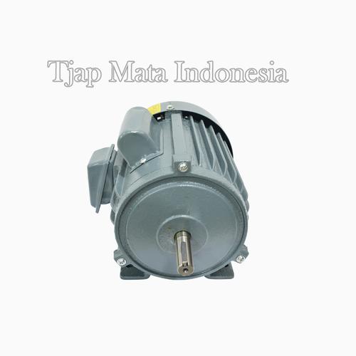 TJAP MATA / CAP MATA Dinamo / Electro / Elektro Motor 1/2 HP