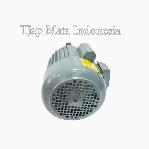 TJAP MATA / CAP MATA Dinamo / Electro / Elektro Motor 1/2 HP