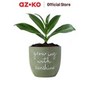 AZKO Arthome 16.5 cm Pot Keramik Sunshine Wadah Keramik Bunga Tempat Tumbuhan Perlengkapan Berkebun Aksesoris Taman
