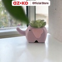 AZKO Arthome Tanaman Artifisial Sukulen Dengan Pot Anima Snout Tumbuhan Tanaman Buatan Dekorasi Plant Sintetis Pajangan Rumah Serbaguna Hiasan Properti Foto