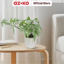 AZKO Forhom 24.1 cm Tanaman Artifisial Ribbon Fern Dengan Pot Keramik - Hijau Tumbuhan Tanaman Buatan Dekorasi Plant Sintetis Pajangan Rumah Serbaguna Hiasan Properti Foto