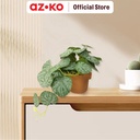 AZKO Forhom Tanaman Artifisial Senorila Dengan Pot - Hijau Tumbuhan Tanaman Buatan Dekorasi Plant Sintetis Pajangan Rumah Serbaguna Hiasan Properti Foto