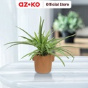 AZKO Forhom Tanaman Artifisial Cymbidium Dengan Pot Tera - Hijau Tumbuhan Tanaman Buatan Dekorasi Plant Sintetis Pajangan Rumah Serbaguna Hiasan Properti Foto