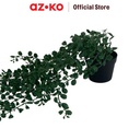 AZKO Arthome 8 cm Tanaman Artifisial Garland Tumbuhan Buatan Tanaman Merambat Artificial Dekorasi Plant Pajangan Rumah Serbaguna Hiasan Properti Foto - Eucalyptus -B
