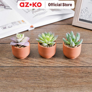 AZKO Arthome Set Tanaman Artifisial Sukulen Mini Cup Tumbuhan Tanaman Buatan Dekorasi Plant Sintetis Pajangan Rumah Serbaguna Hiasan Properti Foto - A
