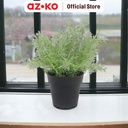 AZKO Arthome Tanaman Artifisial Grass Dengan Pot