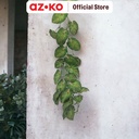 AZKO Arthome Tanaman Artifisial Garland Rohdea Leaf - Hijau