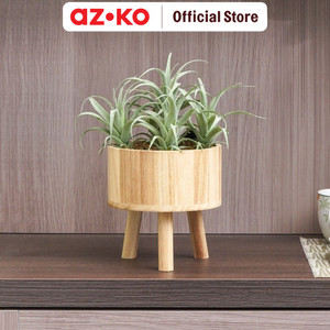AZKO Arthome Tanaman Artifisial Airplant In Shaw Tripot