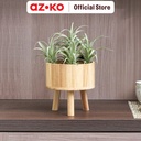 AZKO Arthome Tanaman Artifisial Airplant In Shaw Tripot
