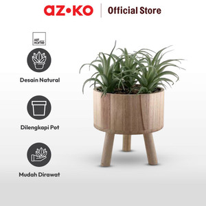 AZKO Arthome Tanaman Artifisial Airplant In Shaw Tripot