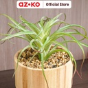 AZKO Arthome Tanaman Artifisial Big Airplant In Shaw Tripot