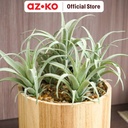 AZKO Arthome Tanaman Artifisial Airplant In Shaw Tripot