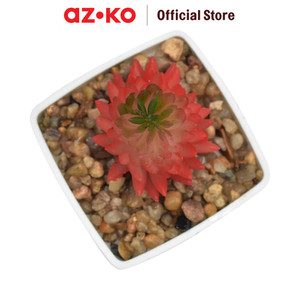 AZKO Ataru Tanaman Artifisial Kaktus Dengan Pot - Merah