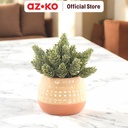 AZKO Arthome 15.2 Cm Bunga Artifisial Succulent Dengan Pot - Hijau
