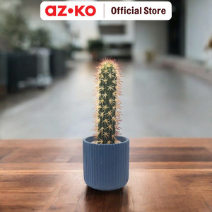 AZKO Arthome 11.4 Cm Tanaman Artifisial Kaktus Dengan Pot - Hijau