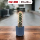 AZKO Arthome 11.4 Cm Tanaman Artifisial Kaktus Dengan Pot - Hijau