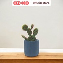 AZKO Arthome 12.7 Cm Tanaman Artifisial Kaktus Dengan Pot - Hijau