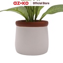 AZKO Arthome 15.2 Cm Bunga Artifisial Chrysanthm Dengan Pot - Orange