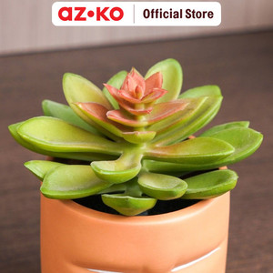 AZKO Arthome 9.5 Cm Tanaman Artifisial Succulent Dengan Pot - Hijau