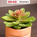 AZKO Arthome 9.5 Cm Tanaman Artifisial Succulent Dengan Pot - Hijau