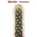 AZKO Arthome 11.4 Cm Tanaman Artifisial Kaktus Dengan Pot - Hijau
