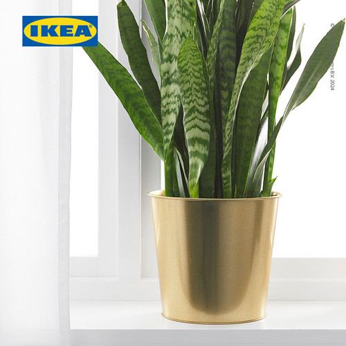IKEA DAIDAI Pot Tanaman Kuningan 19cm