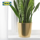 IKEA DAIDAI Pot Tanaman Kuningan 19cm
