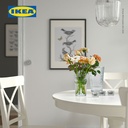 IKEA SMALLSPIREA Vas Bunga / Tanaman Bahan Kaca / Berpola 17cm