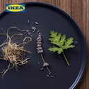 IKEA FRUKTSKOG Lilin Beraroma Dengan Toples Keramik Vetiver & Geranium Tahan 50 Jam