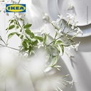 IKEA LUGNARE Lilin Beraroma Melati/Merah Muda Tahan 12 Jam