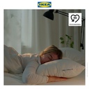 IKEA LAPPTATEL Bantal Tidur Rendah 50x80cm