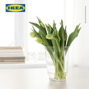 IKEA POMP Vas Bunga Kaca Bening Serbaguna 18cm