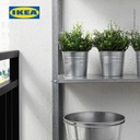 IKEA FEJKA Tanaman Hias Baby's Tear Dalam Pot 9cm