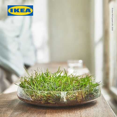 IKEA HEDERSAM Lilin Kecil Bearoma Rumput Segar/ Hijau Muda Tahan 3.5jam Isi 30pcs