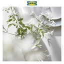 IKEA LUGNARE Lilin Kecil Beraroma Melati/Merah Muda Tahan 3.5 Jam Isi 30pcs
