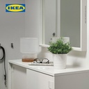 IKEA FEJKA Tanaman Hias Baby's Tear Dalam Pot 9cm
