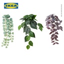 IKEA FEJKA Tanaman Hias Palsu Dengan Dudukan Dinding Set Isi 3pcs