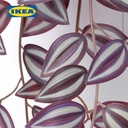 IKEA FEJKA Tanaman Hias Dengan Dudukan Dinding Isi 3pcs