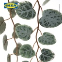 IKEA FEJKA Tanaman Tiruan Gantung String of Hearts Dalam Pot 9cm