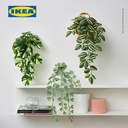 IKEA FEJKA Tanaman Hias Palsu Dengan Dudukan Dinding Set Isi 3pcs