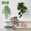 IKEA FEJKA Tanaman Hias Palsu Dengan Dudukan Dinding Set Isi 3pcs