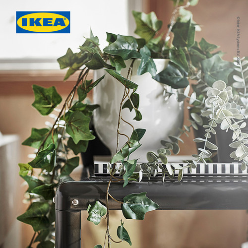 IKEA FEJKA Tanaman Hias Gantung Ivy Dalam Pot 12cm