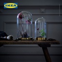 IKEA BEGAVNING Vas Hiasan Meja dari Kaca 26cm