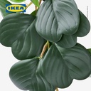 IKEA FEJKA Tanaman Hias Gantung Peperomia dengan Pot 9 cm